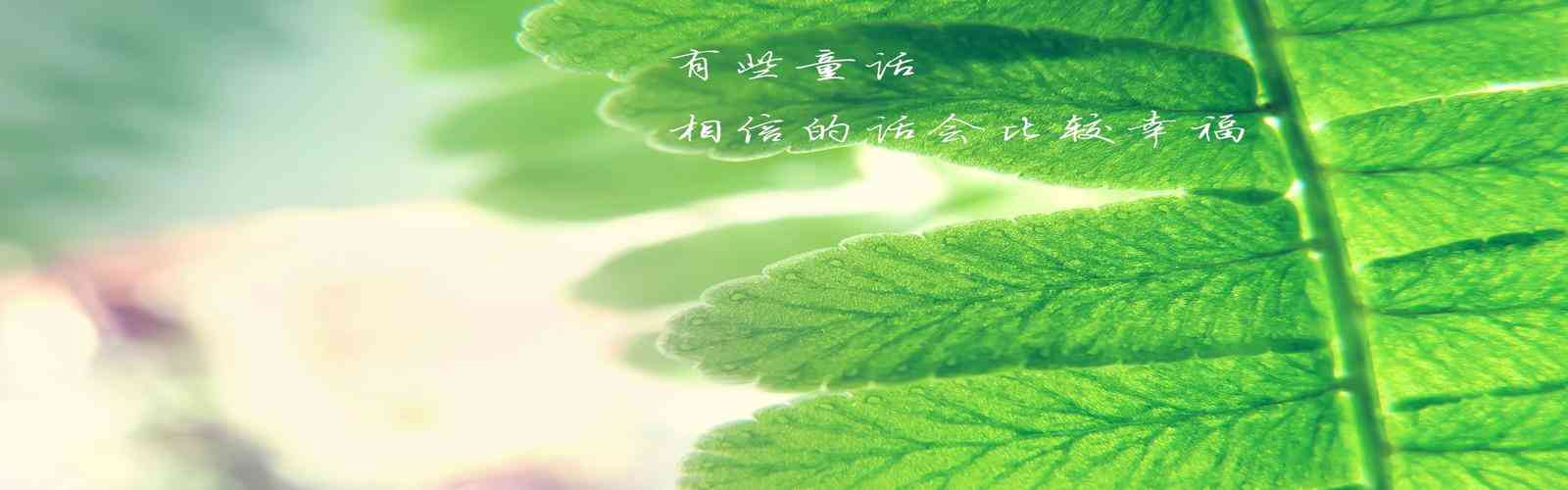 辉达娱乐